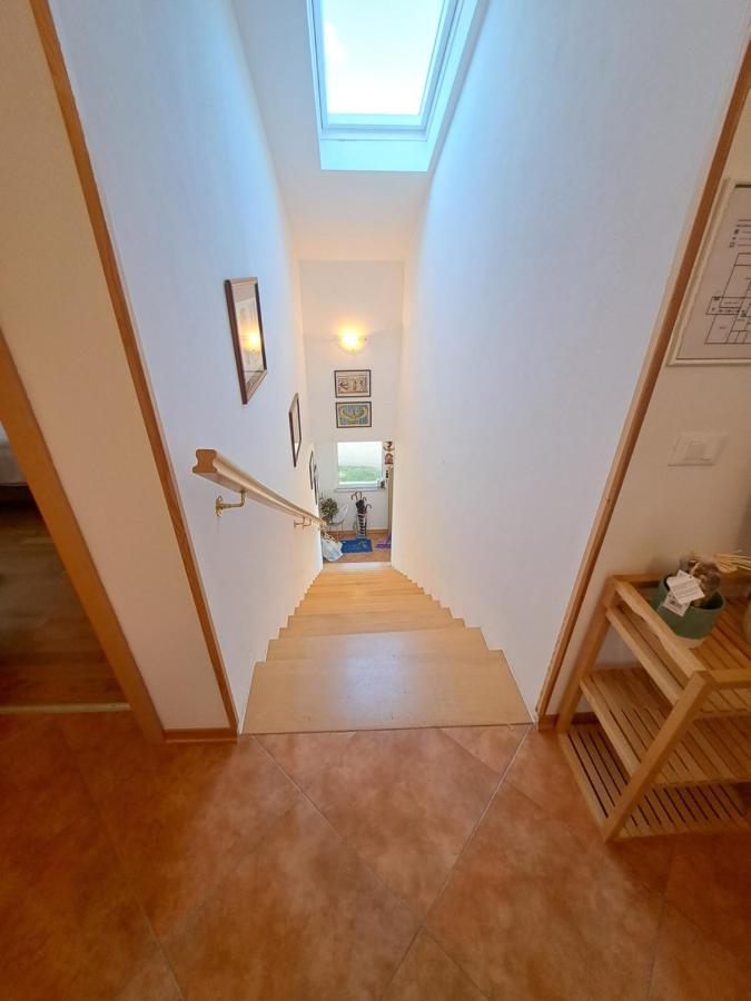Casa Antonio With Swimming Pool Apartment Novigrad  Ngoại thất bức ảnh