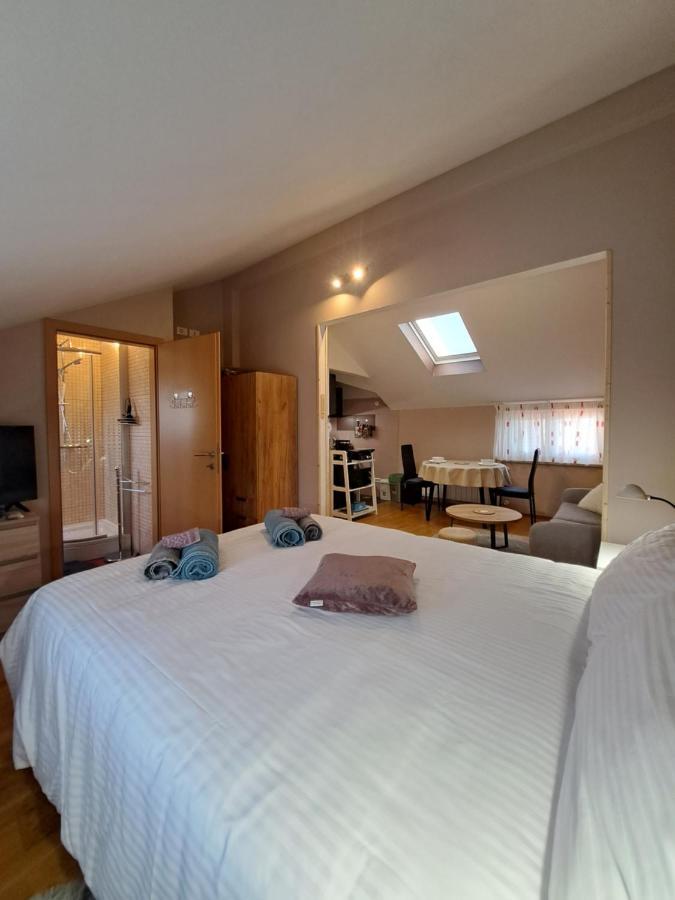 Casa Antonio With Swimming Pool Apartment Novigrad  Ngoại thất bức ảnh