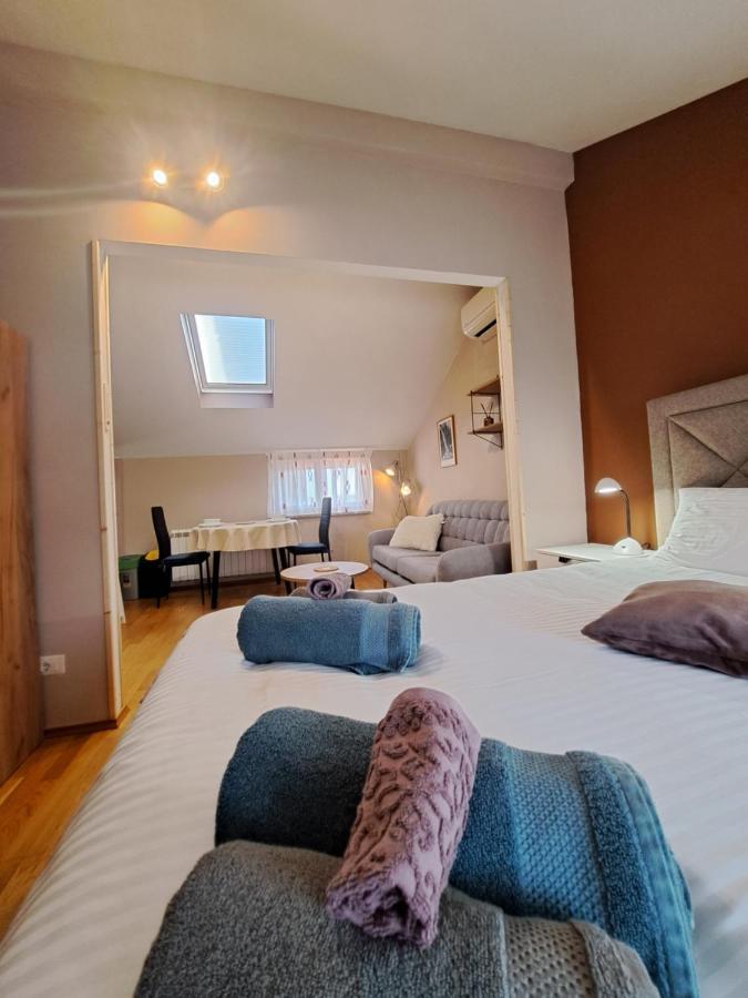 Casa Antonio With Swimming Pool Apartment Novigrad  Ngoại thất bức ảnh