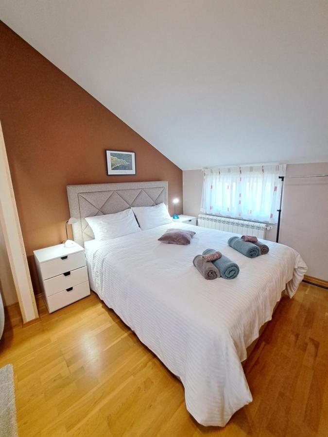 Casa Antonio With Swimming Pool Apartment Novigrad  Ngoại thất bức ảnh