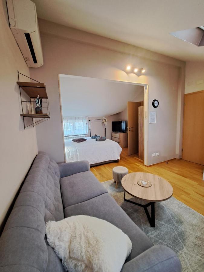 Casa Antonio With Swimming Pool Apartment Novigrad  Ngoại thất bức ảnh