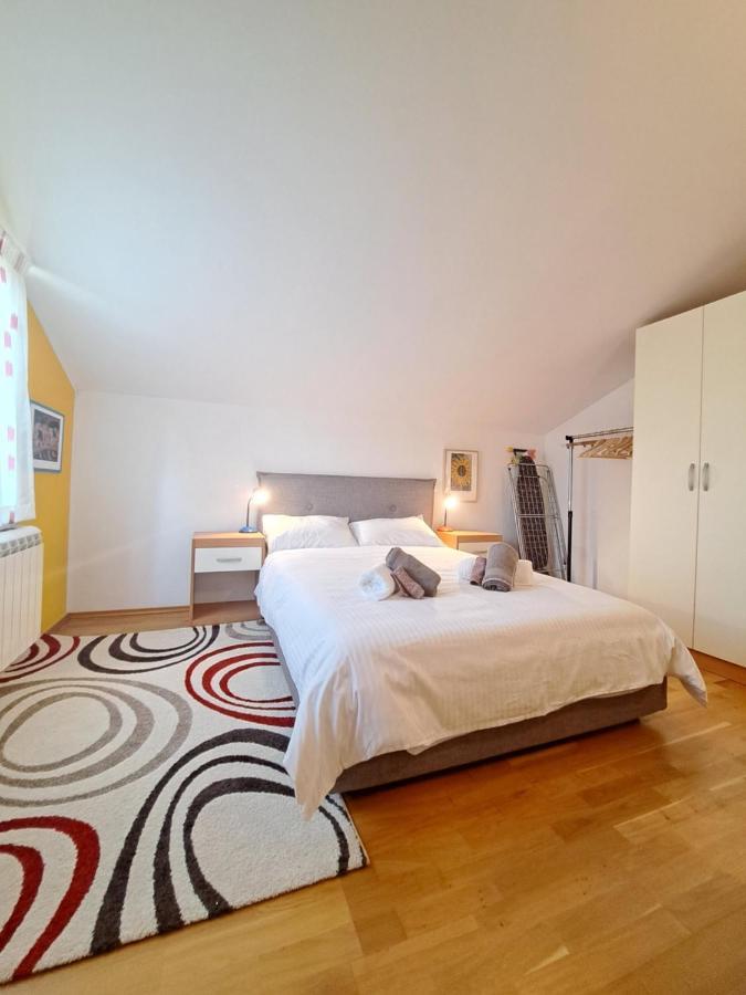 Casa Antonio With Swimming Pool Apartment Novigrad  Ngoại thất bức ảnh
