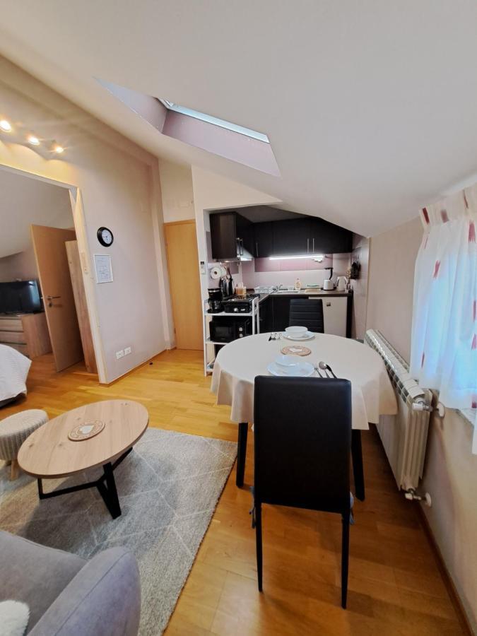 Casa Antonio With Swimming Pool Apartment Novigrad  Ngoại thất bức ảnh