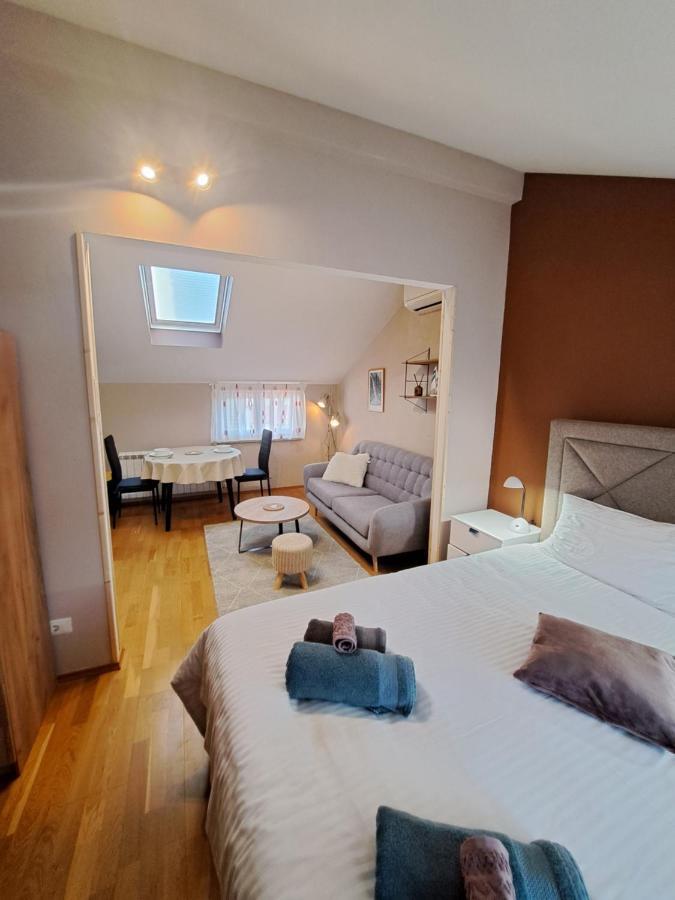 Casa Antonio With Swimming Pool Apartment Novigrad  Ngoại thất bức ảnh