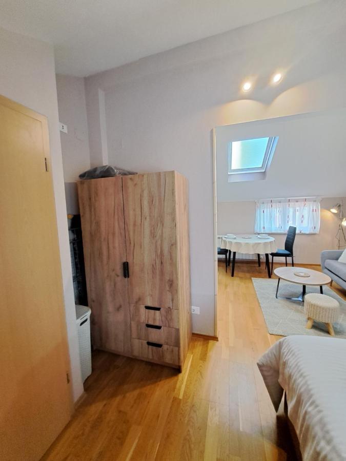 Casa Antonio With Swimming Pool Apartment Novigrad  Ngoại thất bức ảnh