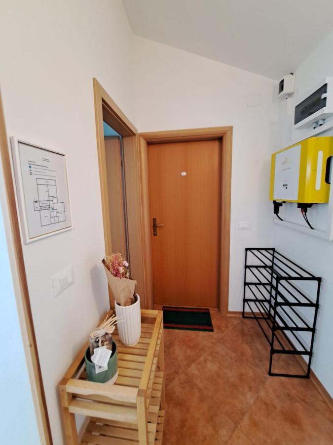 Casa Antonio With Swimming Pool Apartment Novigrad  Ngoại thất bức ảnh