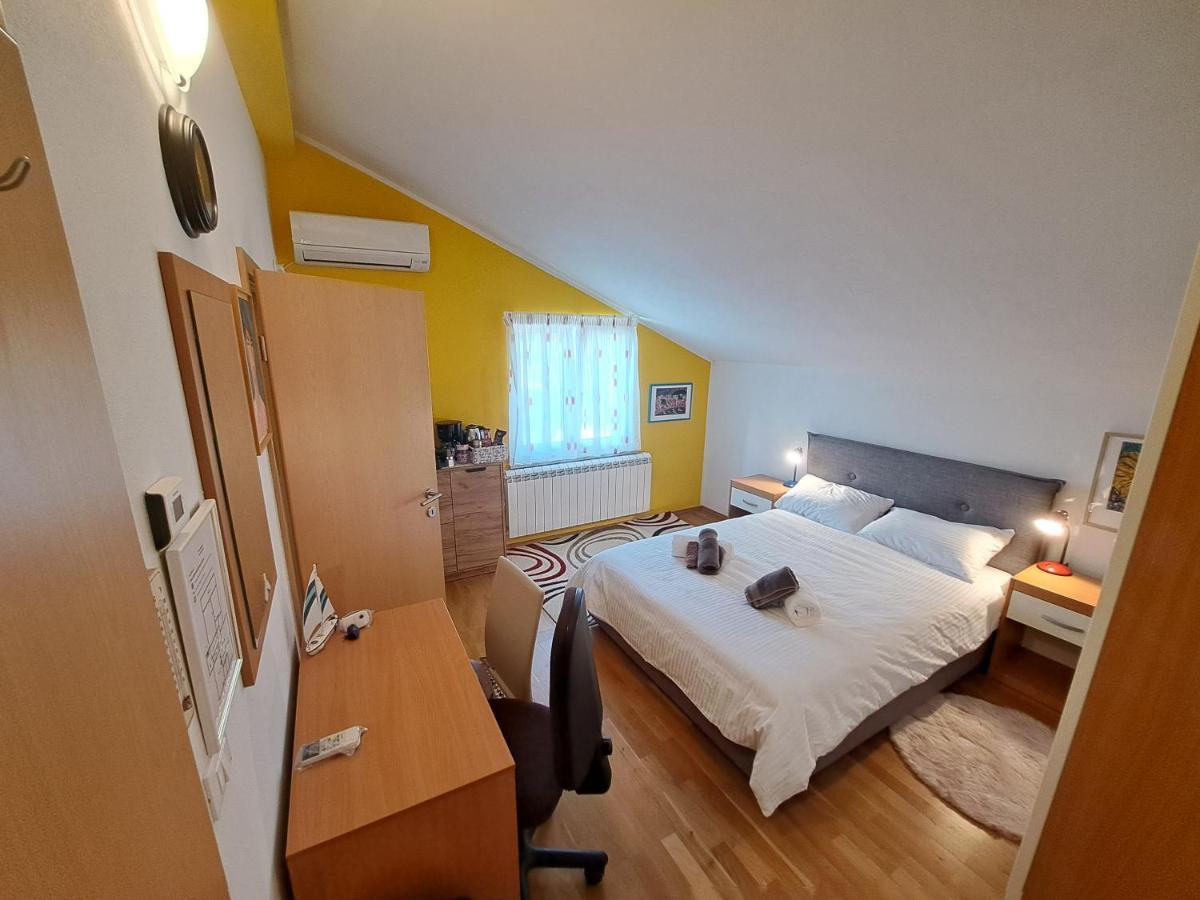 Casa Antonio With Swimming Pool Apartment Novigrad  Ngoại thất bức ảnh