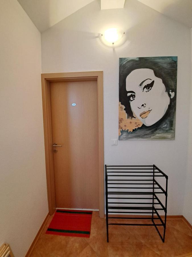 Casa Antonio With Swimming Pool Apartment Novigrad  Ngoại thất bức ảnh