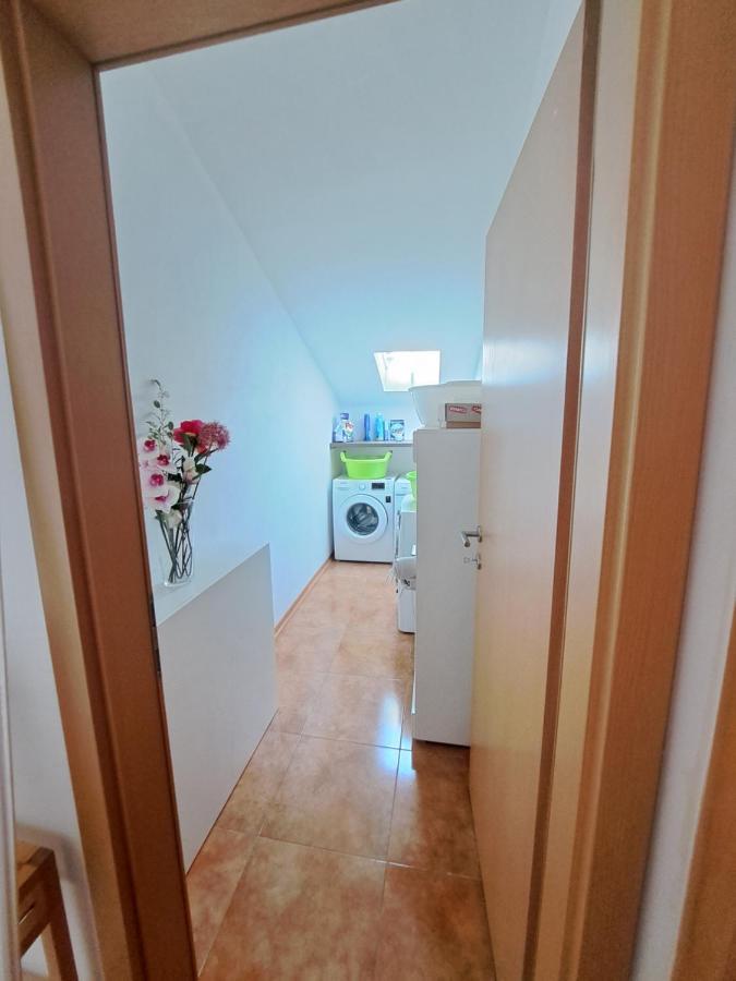 Casa Antonio With Swimming Pool Apartment Novigrad  Ngoại thất bức ảnh